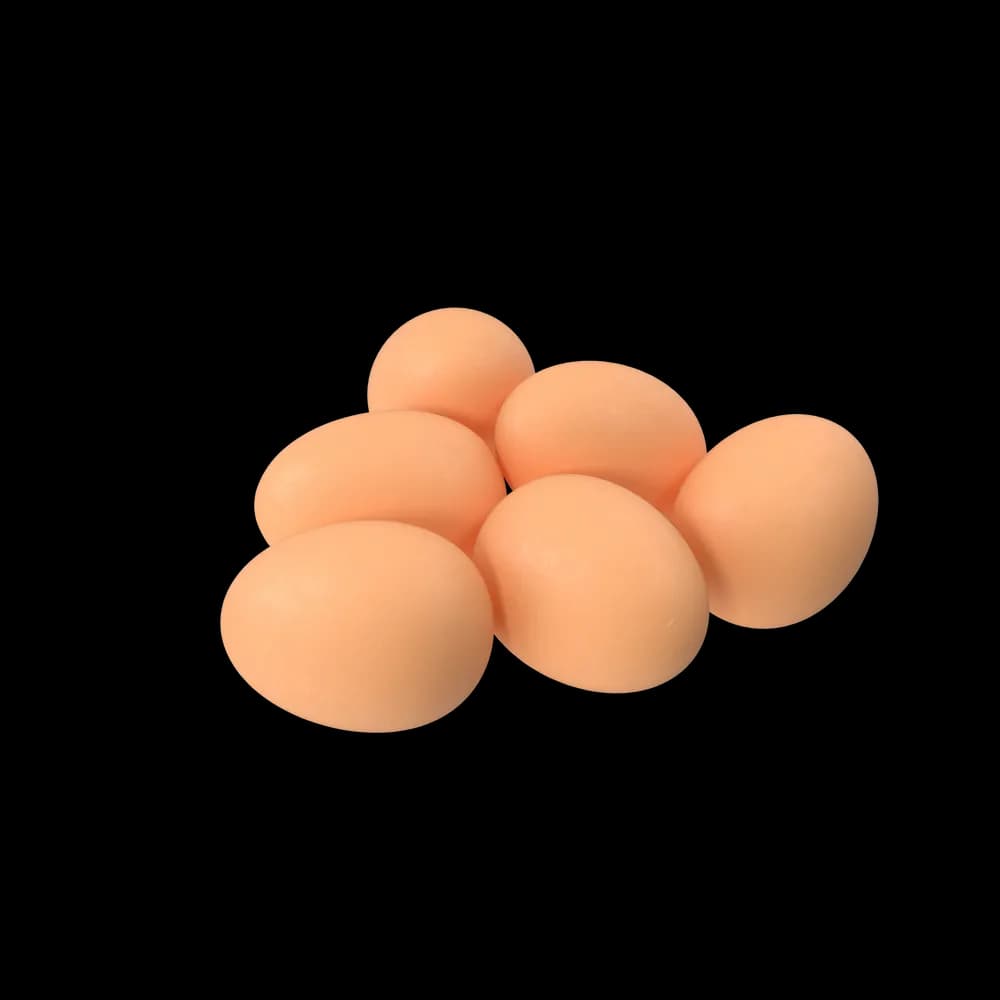 Eggs gorunum 2