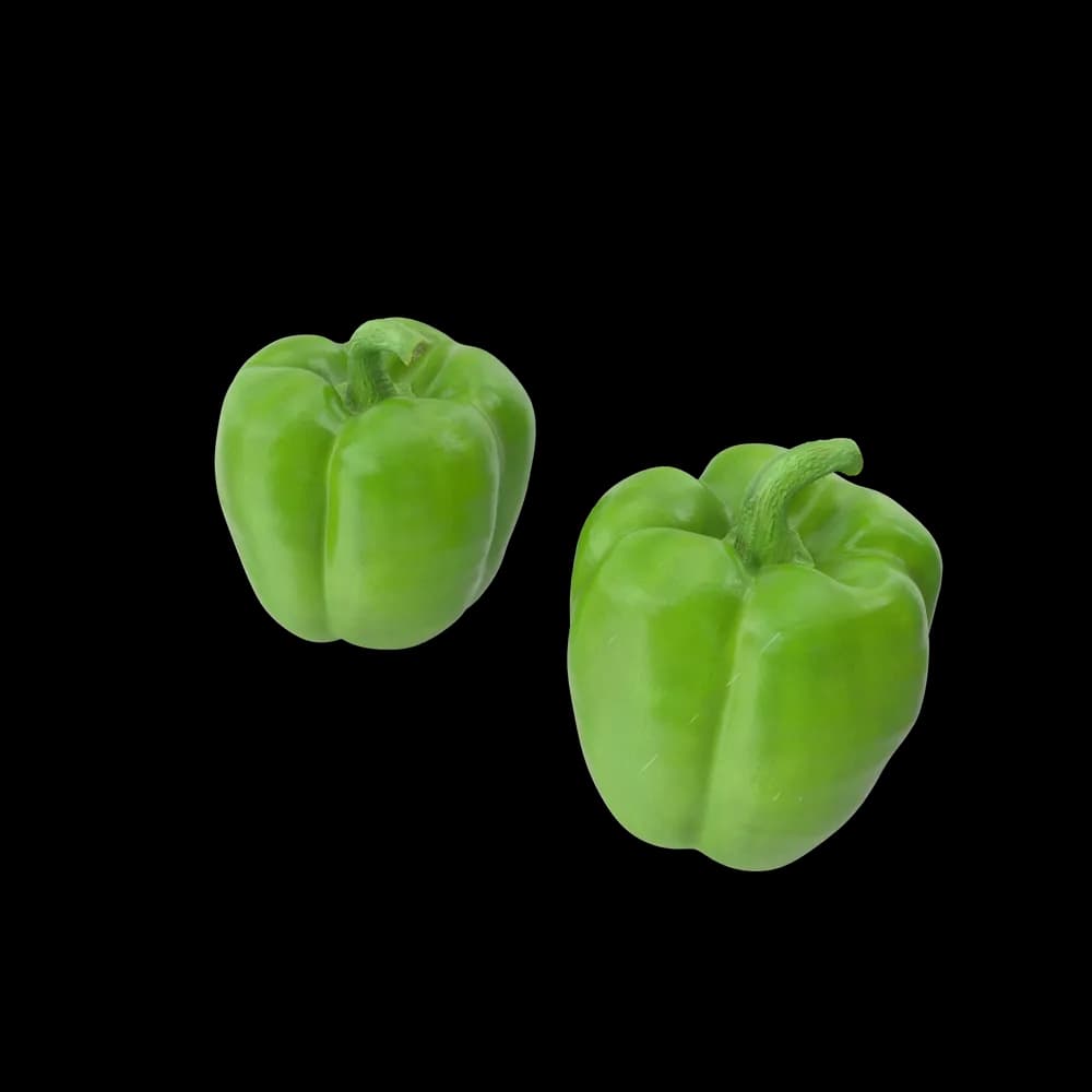 Green Bell Pepper gorunum 2