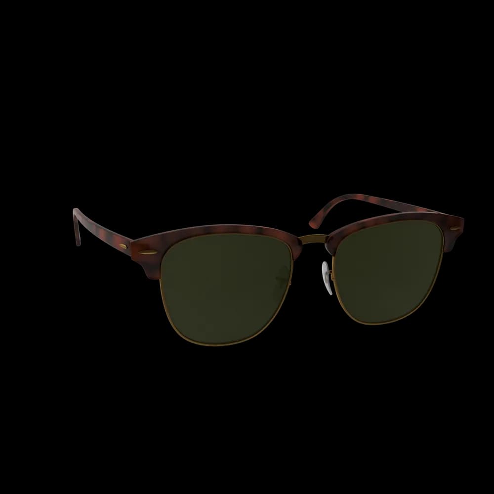 Black Sun Glasses gorunum 4